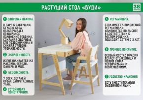 Комплект растущий стол и стул с чехлом 38 попугаев «Вуди» (Серый, Береза, Салют) в Глазове - glazov.mebel-74.com | фото