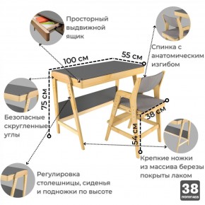 Комплект растущий стол и стул с чехлом 38 попугаев «Вуди» (Серый, Береза, Серый) в Глазове - glazov.mebel-74.com | фото