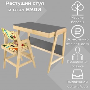 Комплект растущий стол и стул с чехлом 38 попугаев «Вуди» (Серый, Без покрытия, Монстры) в Глазове - glazov.mebel-74.com | фото