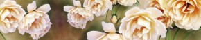 Кухонный фартук Цветы 066 МДФ матовый (3000) Flowers в Глазове - glazov.mebel-74.com | фото