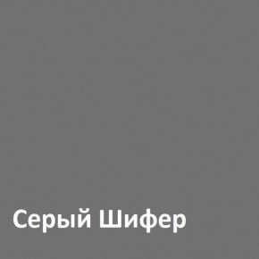 Юнона Шкаф торцевой 13.221 в Глазове - glazov.mebel-74.com | фото