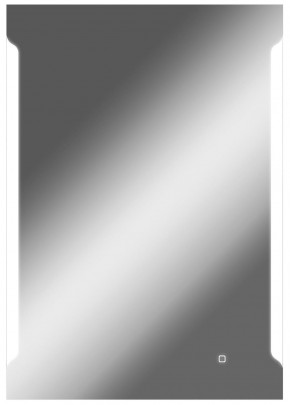 Зеркало Оттава 1000х700 с подсветкой Домино (GL7028Z) в Глазове - glazov.mebel-74.com | фото